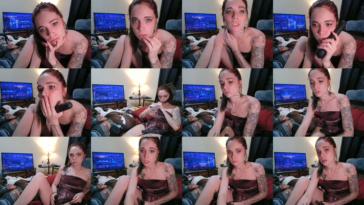 kittycontrabandkat — Playful, Laundry, Relatable on BongaCams