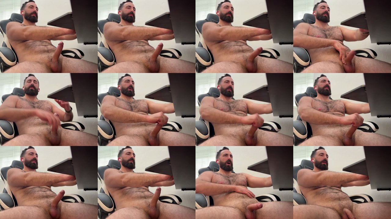 gnorris88 — Hairy daddy, Beard daddy, Exhibitionist bear on Chaturbate