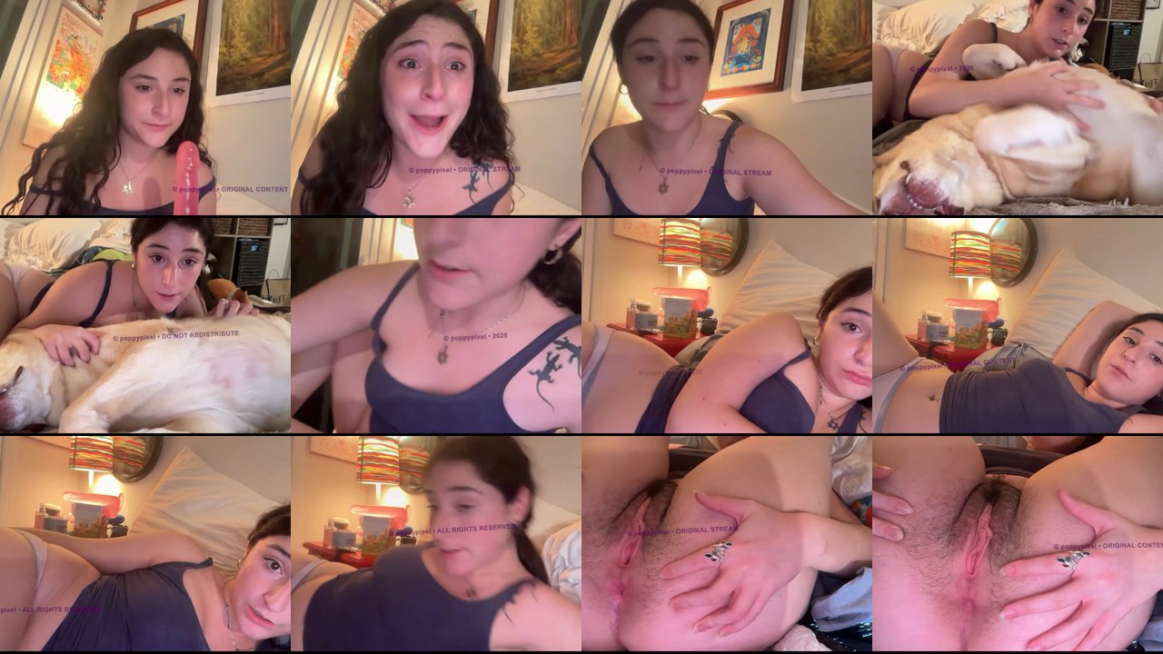 poppypixel — Edging, Gooning, Ass fingering on Chaturbate