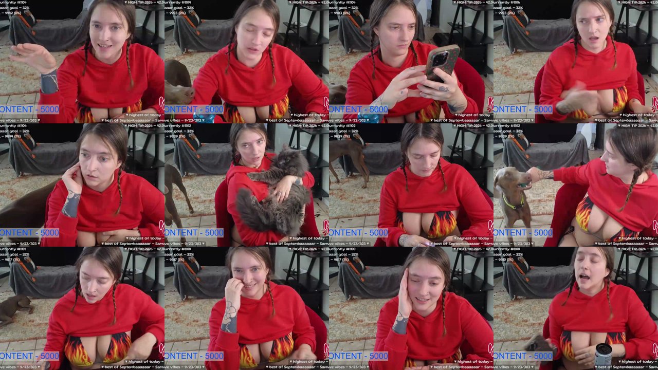 meowz — Candid chat, Cat lover, Birthday plans on MyFreeCams