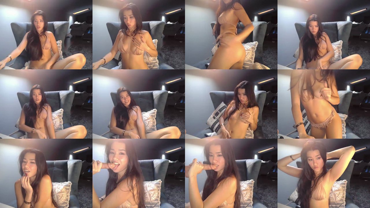 shachatte — Teasing, Brunette, Solo female on MyFreeCams