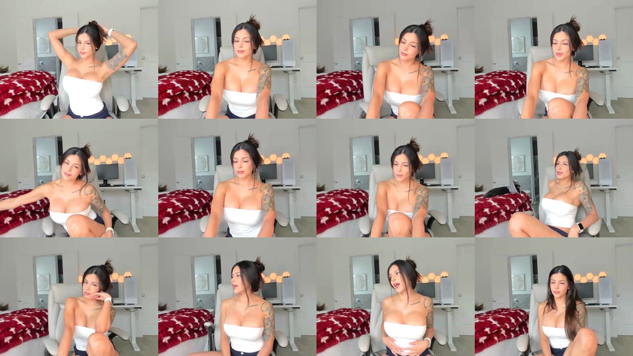 skylerlo — Chatting, Sick dog, Attic story on MyFreeCams